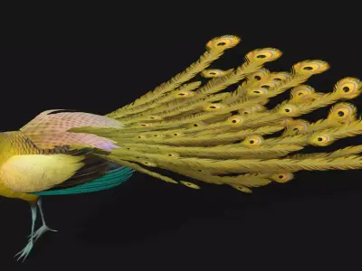 Peacock A2 Free low-poly 3D model