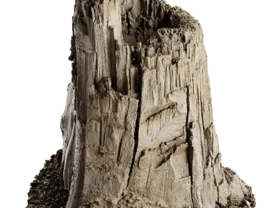  Short Broken Decaying Bare Stump Model 
