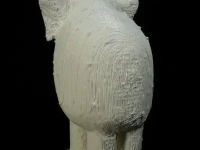 After Rohan Wealleans He Of 109 Names And One Tusk Free 3D print model