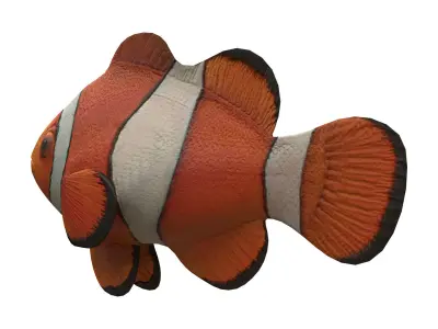 clown fish Low-poly 3D model