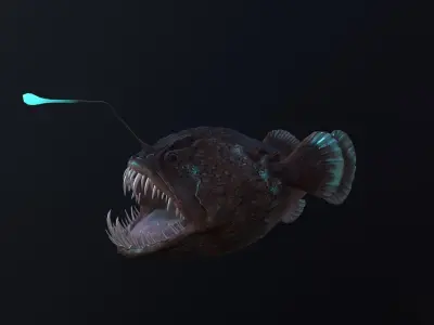 Angler Fish monkfish 3D model