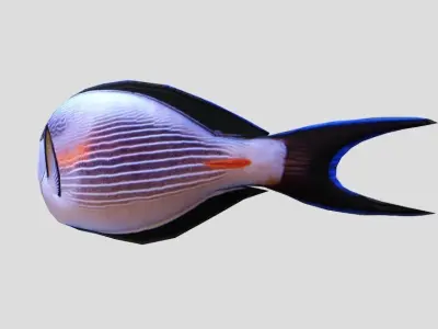 Sohal Surgeonfish Low-poly 3D model