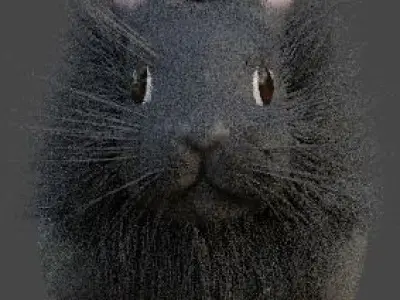 Gray Single Mane Lionhead Free 3D model