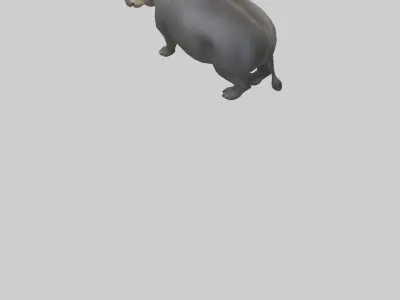 Brazilian Tapir resting model 3D model