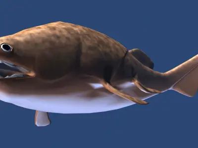 Coccosteus fish Low-poly 3D model