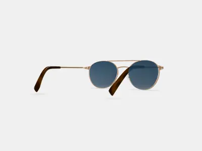 Fisher Sunglasses in Polished Gold 3D model