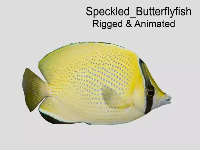 Speckled Butterflyfish Low-poly 3D model