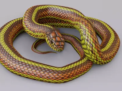 Animated Yellow Snake Free 3D model