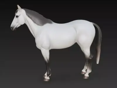 White Horse 3D model