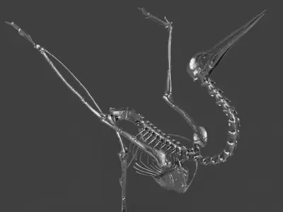 Silver Crane Skeleton  3D model