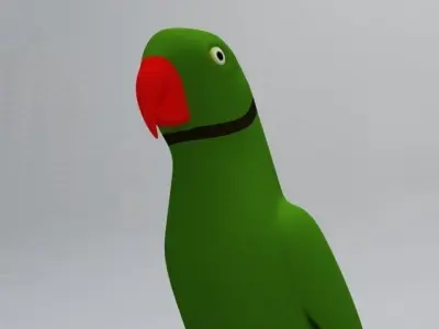 Green Parrot Low-poly 3D model