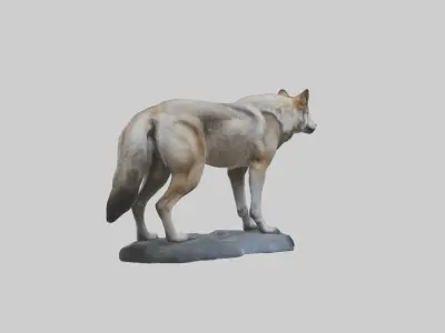 Himalayan Wolf Low-poly 3D model