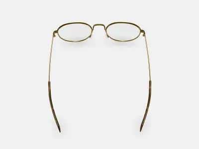 Rafael Eyeglasses in Polished Gold 3D model