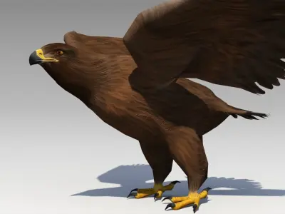 Golden Eagle Animated Low-poly 3D model