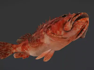 Izu Scorpionfish Animated 3D model