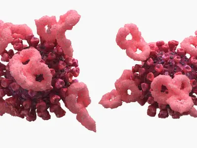 Immunology Virus with Antibodies Interaction Pink 3D model