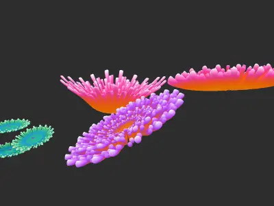 coral collection grapes 3D model