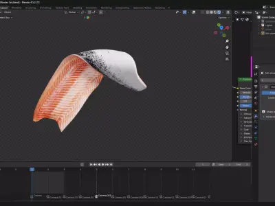 Salmon Filet 3D model