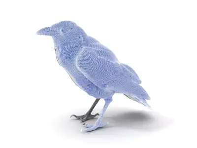 Sleek Raven Bird model pack Low-poly 3D model