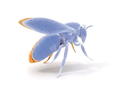 Golden Robotic Bee model pack Low-poly 3D model
