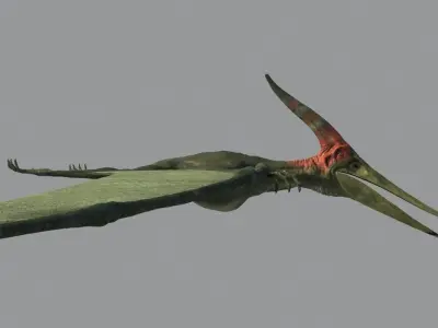 Pterodon dinosaur flying in sky 3D model