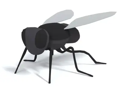 Low Poly Cartoon Fly  Low-poly 3D model