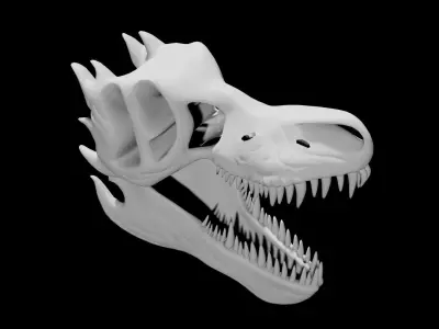 Trex skull Low-poly 3D model