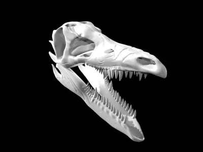Stegosaurus skull Low-poly 3D model