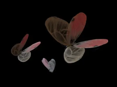 Butterflies Animated  3D model