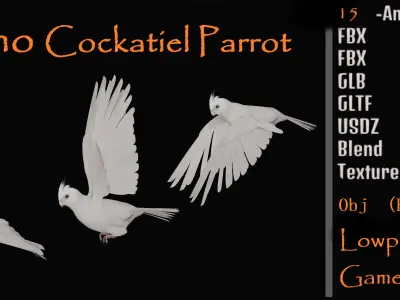 Cockatiel Parrot Bird Low-poly 3D model