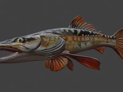 Trophy Fish Pike 2 3D model