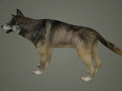 wolf animal low poly fur black arctic american mammal  3D model