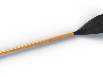 Paddle 3D model