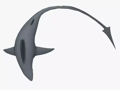 SHARK WITH LONG TAIL Low-poly 3D model
