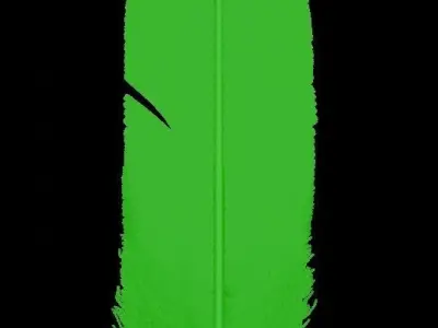 Feathers Hair Cards preset Free low-poly 3D model