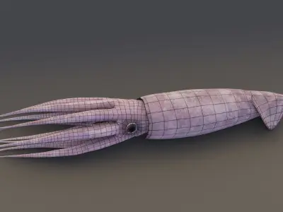 Squid Animated Low-poly 3D model
