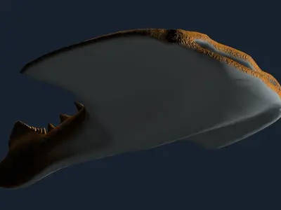 Drepanaspis Low-poly 3D model