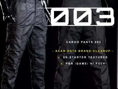Cargo Pants 003 Low-poly 3D model