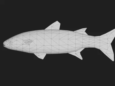 Mullet Low-poly 3D model
