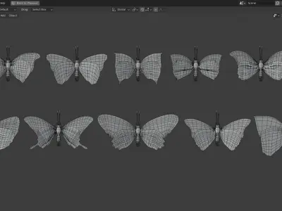 Butterfly Collection PBR Rigged Animated 3D model