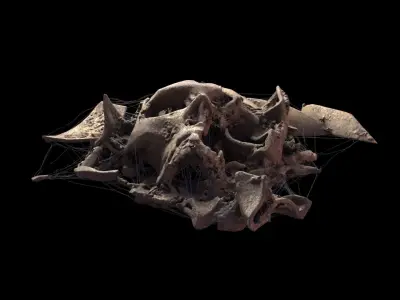 Broken Skull with Spider webs 2 3D model