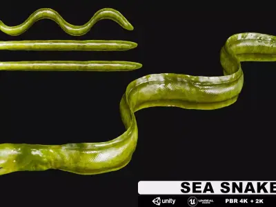 Sea Snake Low-poly 3D model