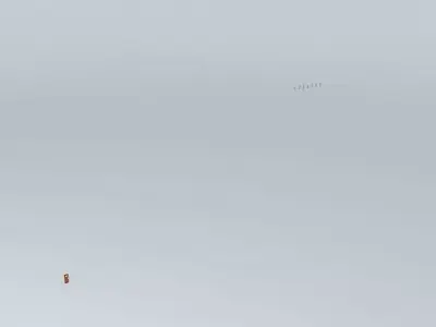 SS Panels Free 3D model