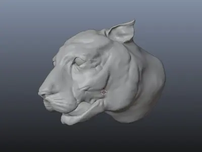 Tiger high poly sculpt Free 3D model
