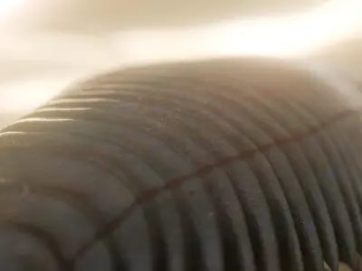 Trilobite Low-poly 3D model