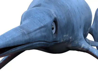 Dolphin ictiosaurio rig Low-poly 3D model
