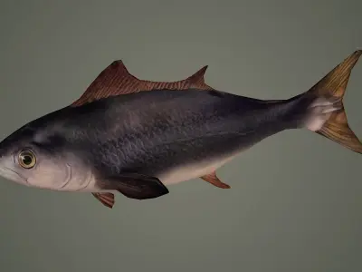 fish underwater ocean sea water animal sardine shoal nature 3D model