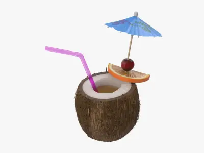 Tropical Drink 3D model