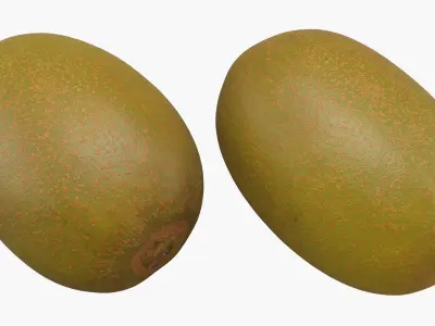 Golden Kiwi 3D model purchase