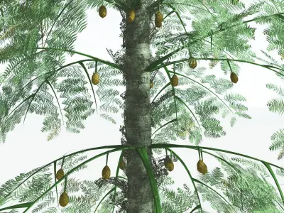 EVERYPlant Alethopteris Seed Fern 1 --12 Models-- 3D model